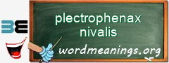 WordMeaning blackboard for plectrophenax nivalis